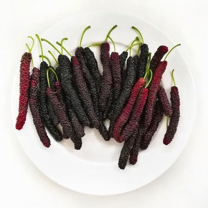 8973
